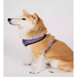 Monstercat Pet Harness Leash Collar Set Size Small Dog Harness Leash 3 Piece Set